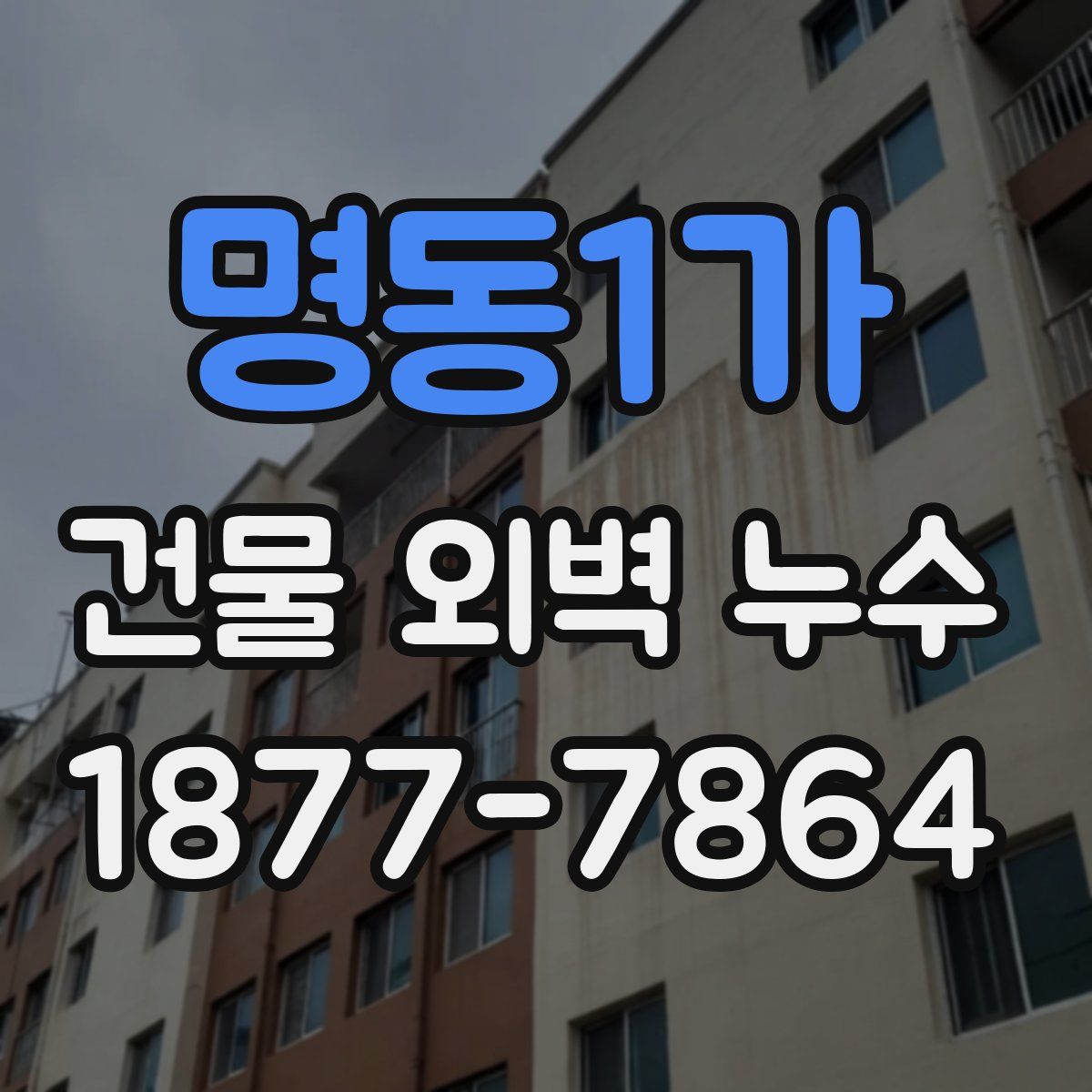 명동1가 건물 외벽 누수