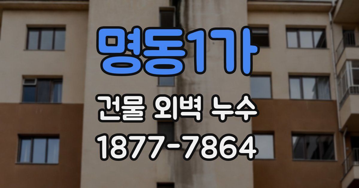 명동1가 건물 외벽 누수