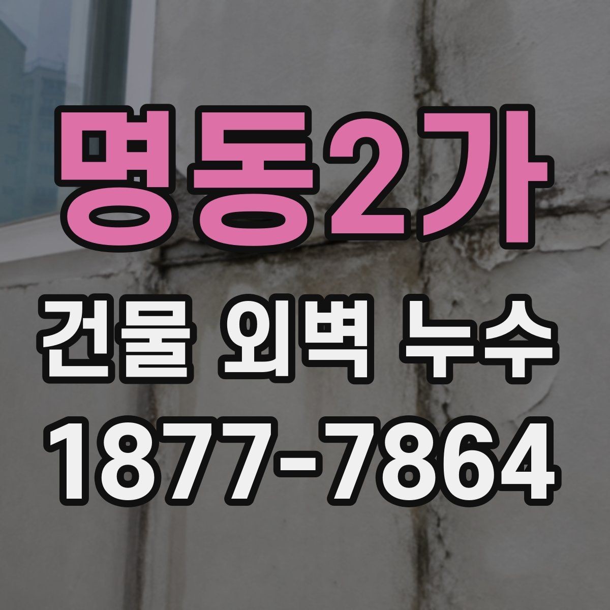 명동2가 건물 외벽 누수 보수 전후 확인해야 할 사항
