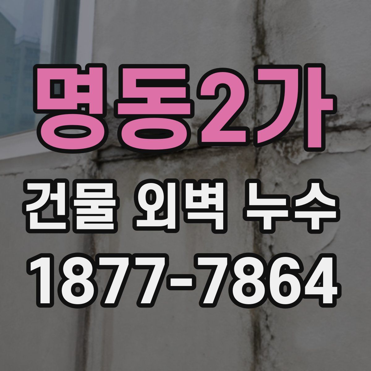 명동2가 건물 외벽 누수