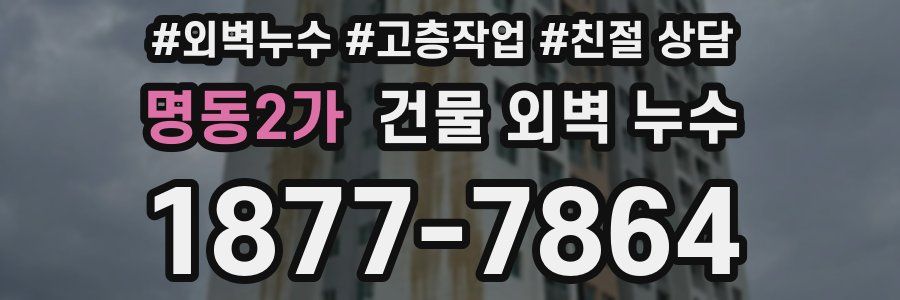 명동2가 건물 외벽 누수