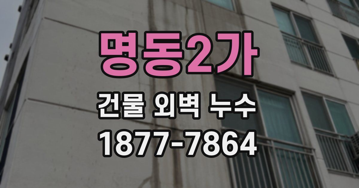 명동2가 건물 외벽 누수