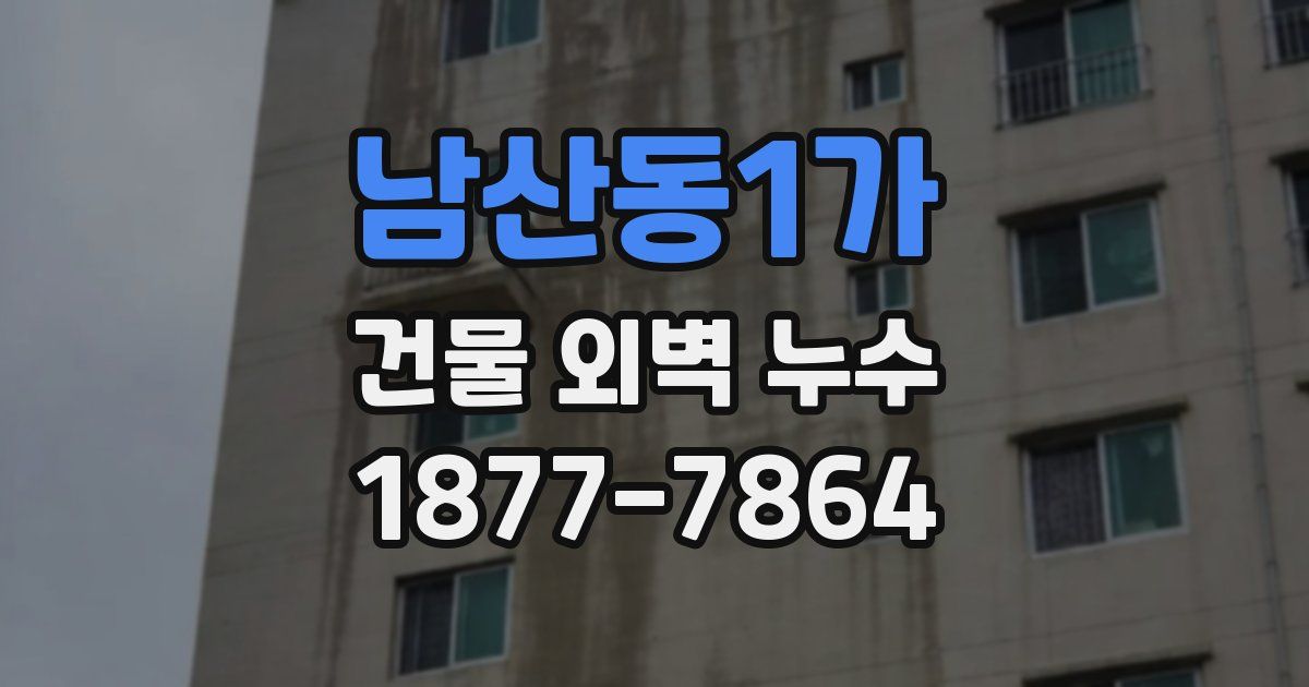 남산동1가 건물 외벽 누수