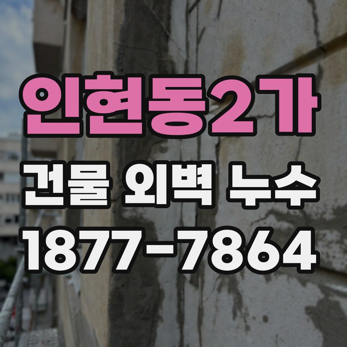 인현동2가 건물 외벽 누수
