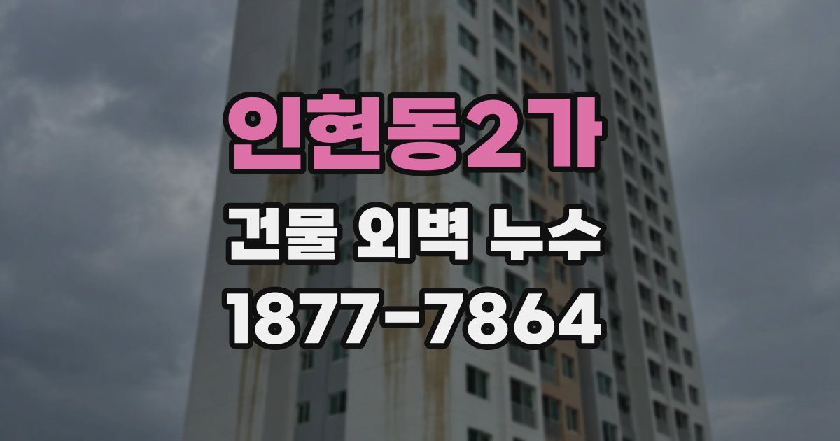 인현동2가 건물 외벽 누수