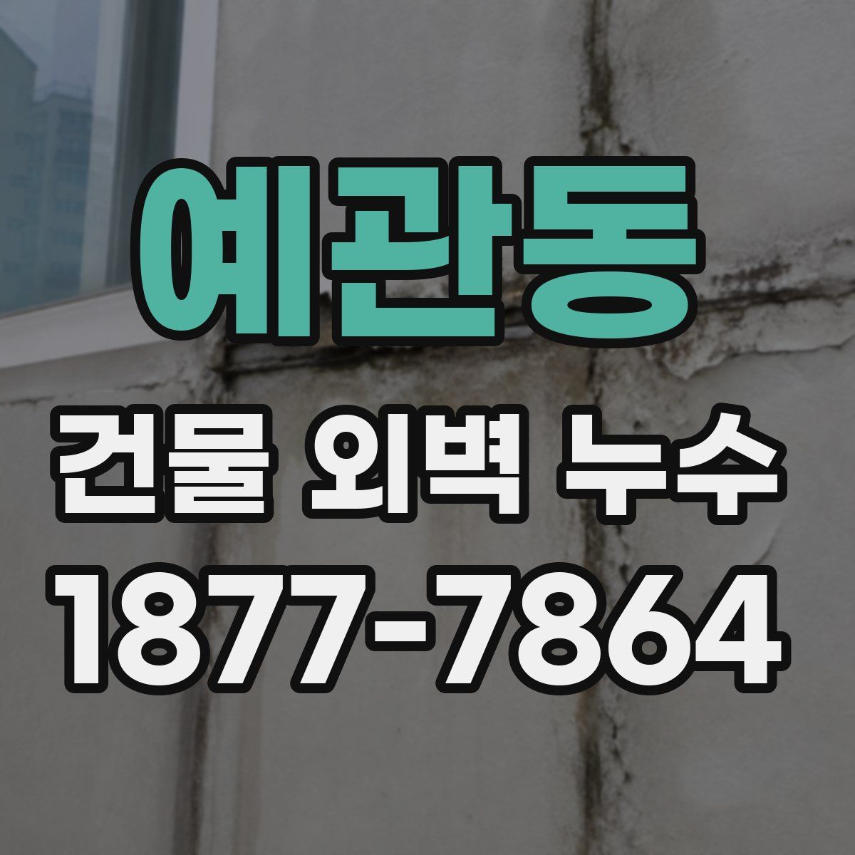 예관동 건물 외벽 누수
