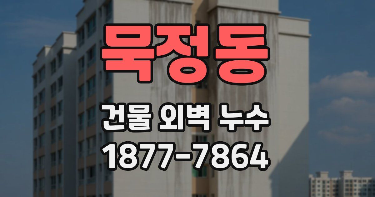 묵정동 건물 외벽 누수