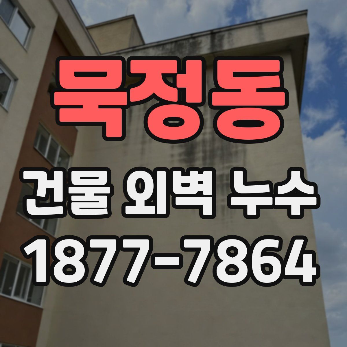 묵정동 건물 외벽 누수