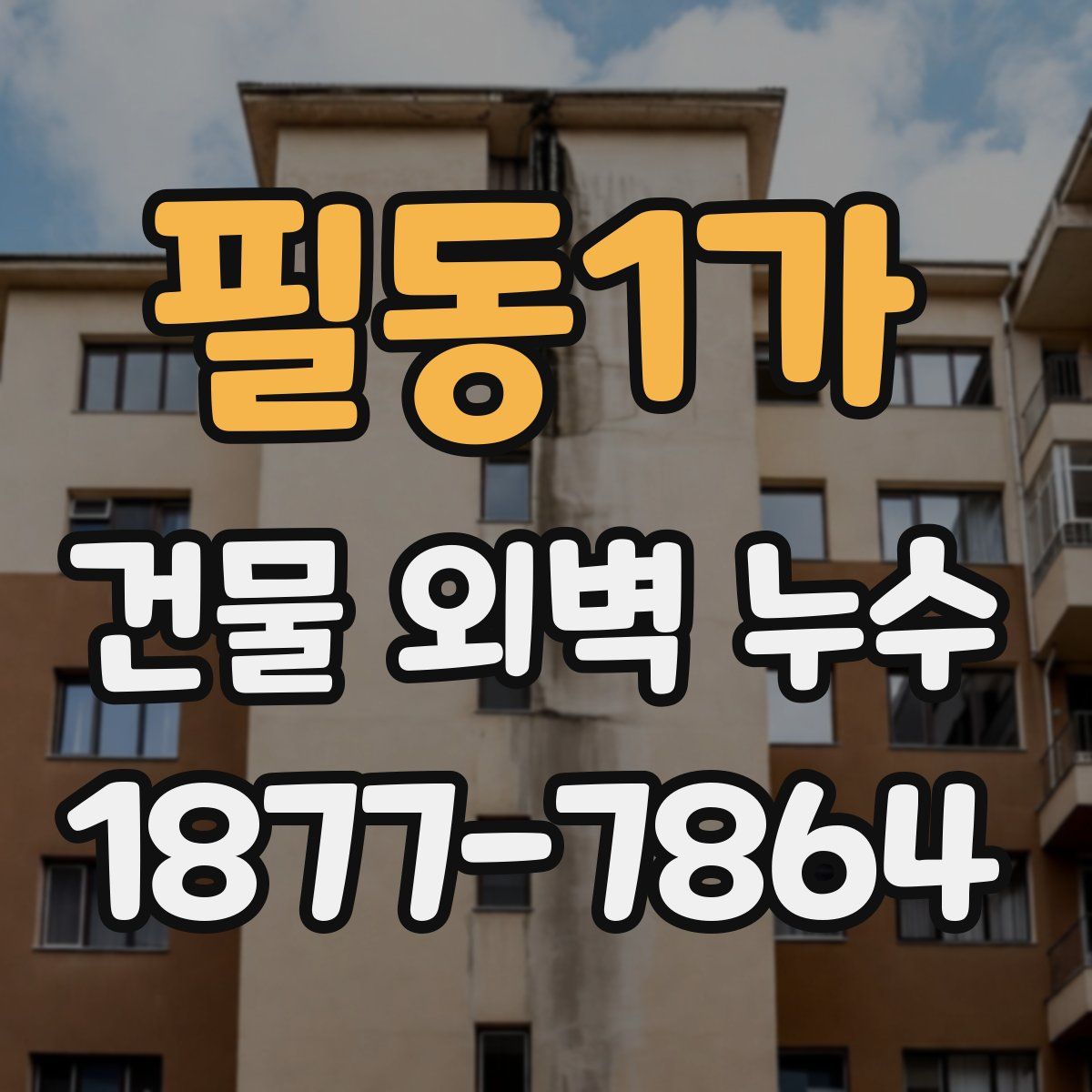 필동1가 건물 외벽 누수