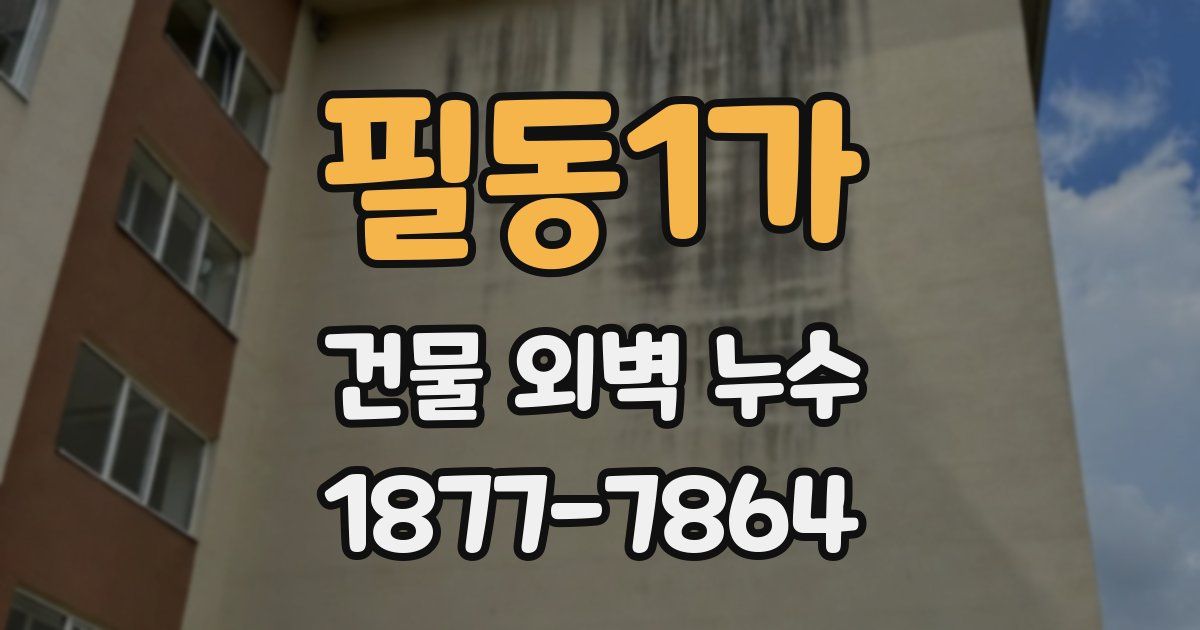 필동1가 건물 외벽 누수