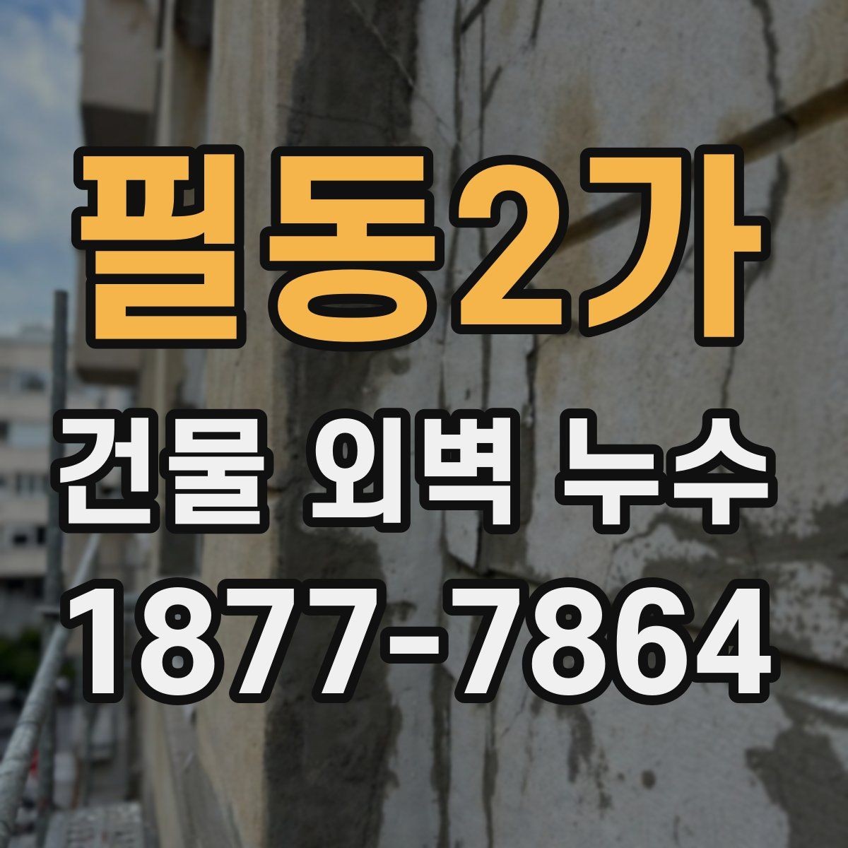 필동2가 건물 외벽 누수 실리콘과 균열 확인하기