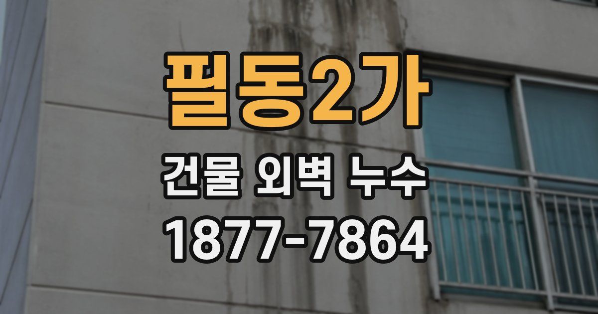 필동2가 건물 외벽 누수