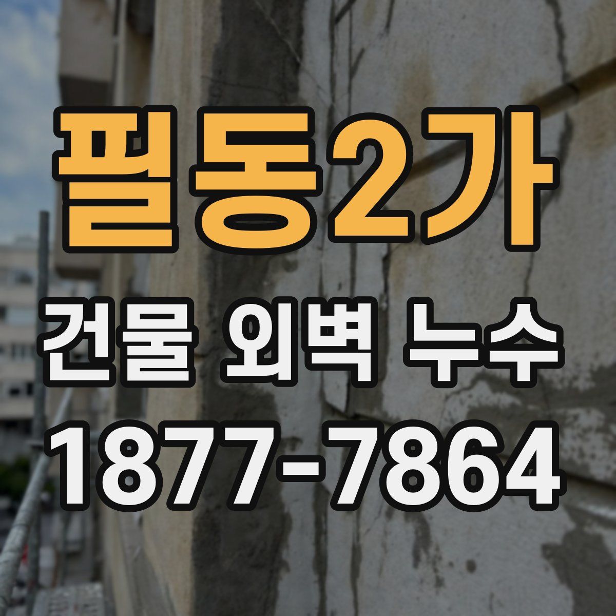 필동2가 건물 외벽 누수