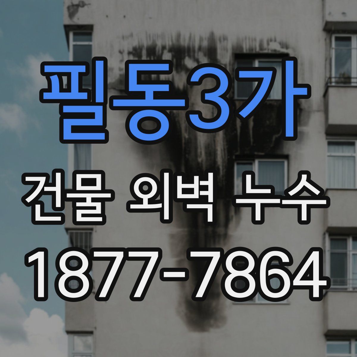 필동3가 건물 외벽 누수