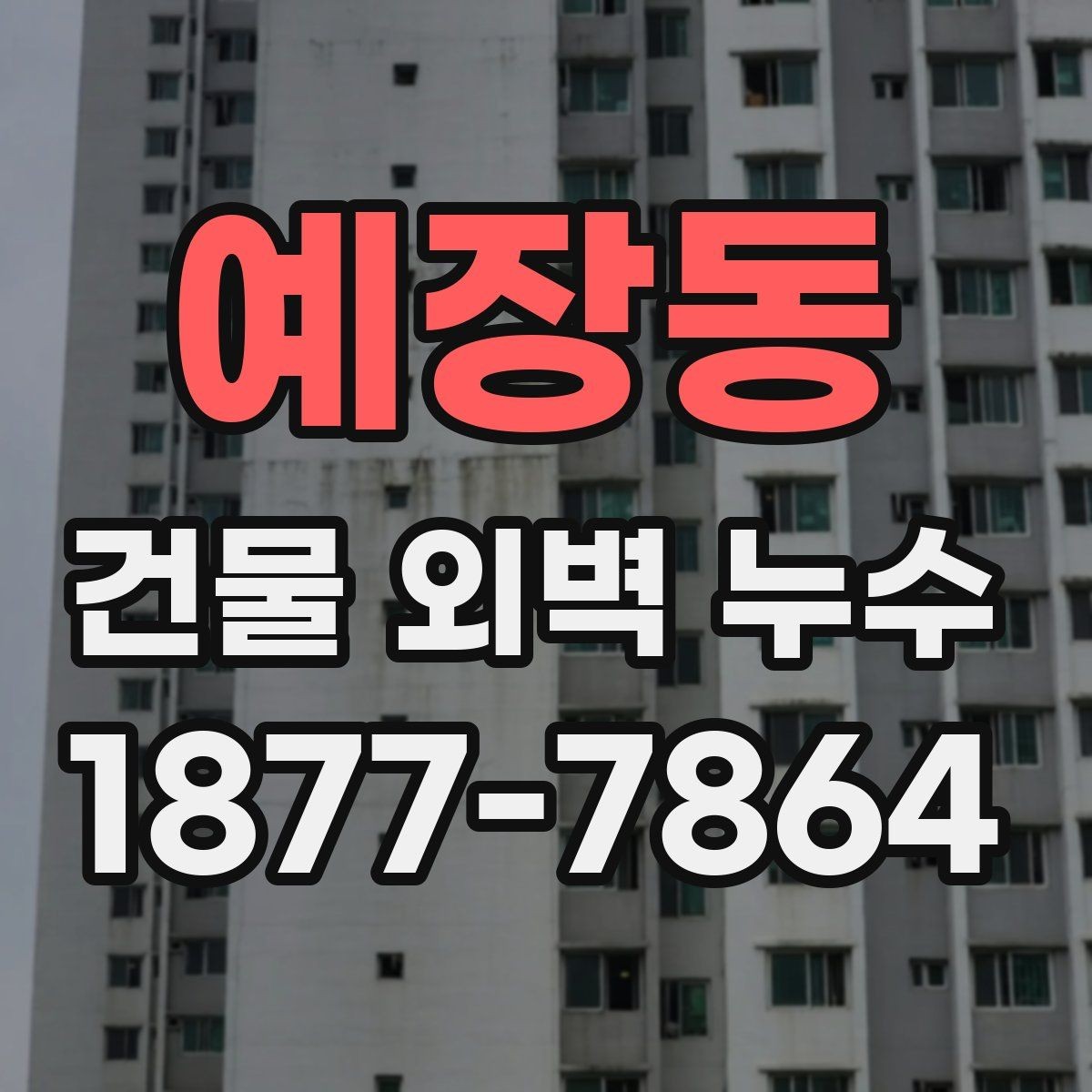 예장동 건물 외벽 누수 보수 일정과 진행 순서