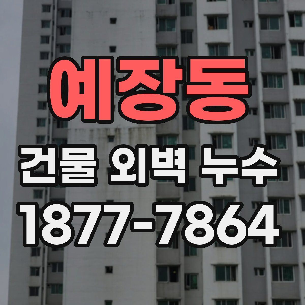 예장동 건물 외벽 누수