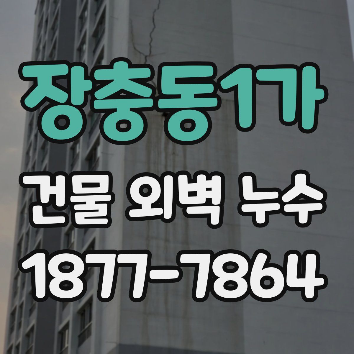 장충동1가 건물 외벽 누수