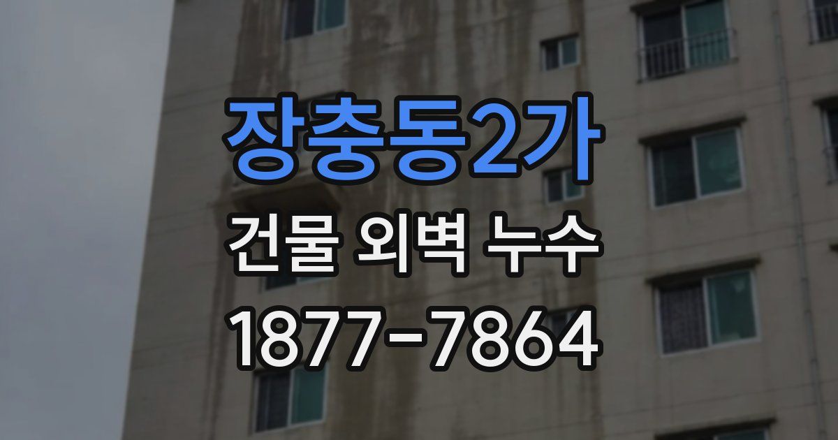 장충동2가 건물 외벽 누수