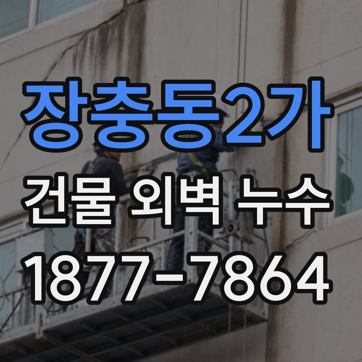 장충동2가 건물 외벽 누수