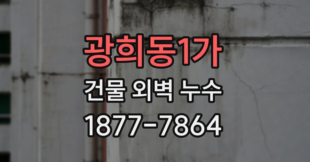 광희동1가 건물 외벽 누수