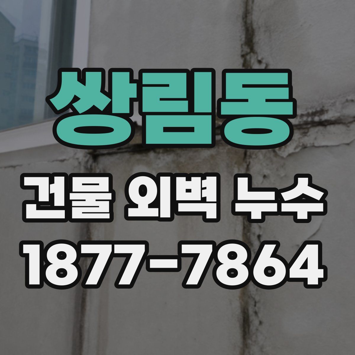 쌍림동 건물 외벽 누수