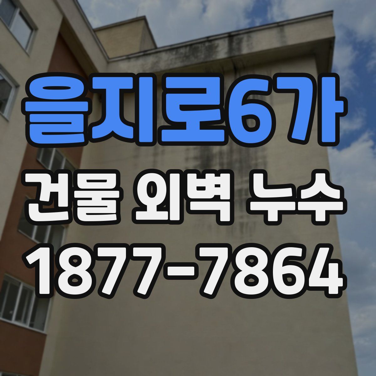 을지로6가 건물 외벽 누수