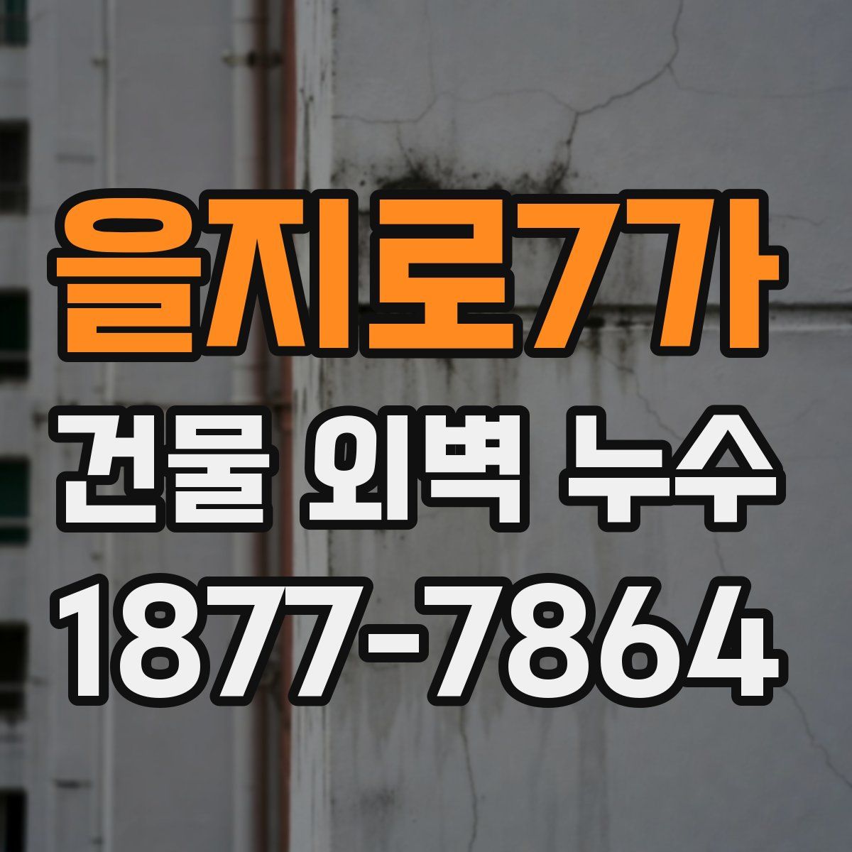 을지로7가 건물 외벽 누수