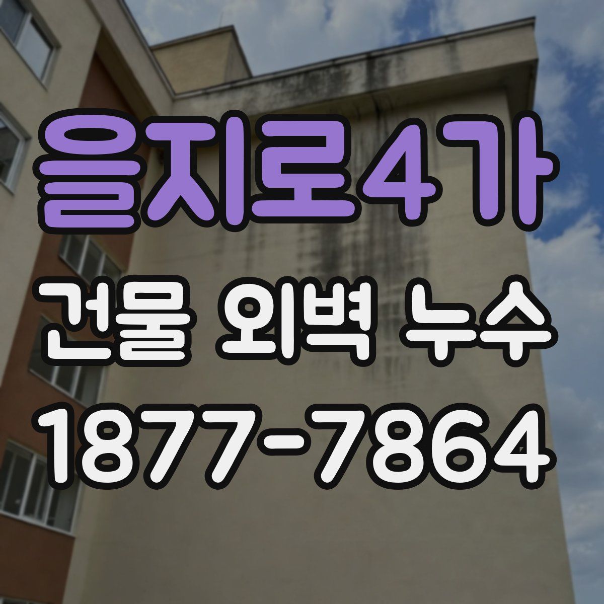 을지로4가 건물 외벽 누수