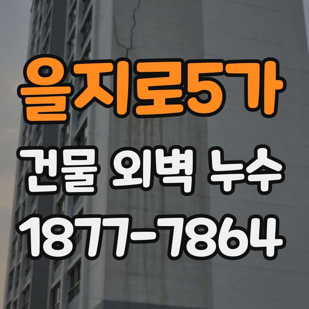 을지로5가 건물 외벽 누수