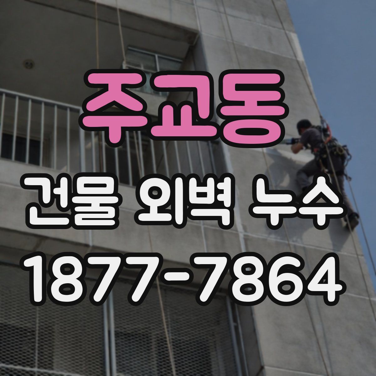 주교동 건물 외벽 누수