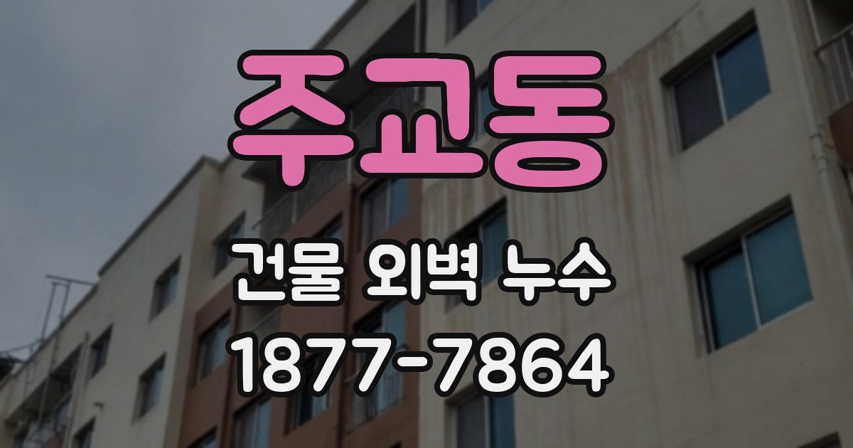주교동 건물 외벽 누수