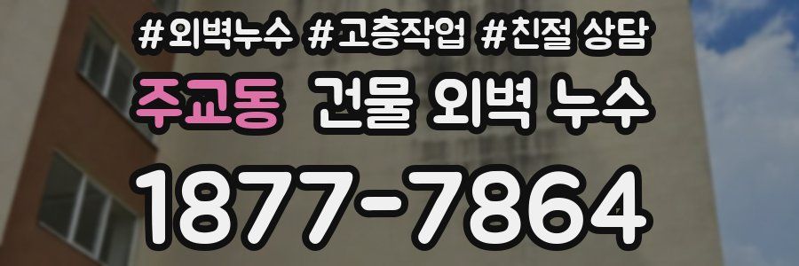 주교동 건물 외벽 누수
