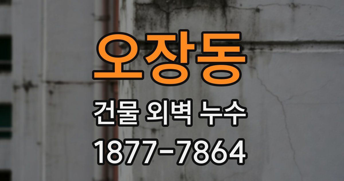 오장동 건물 외벽 누수