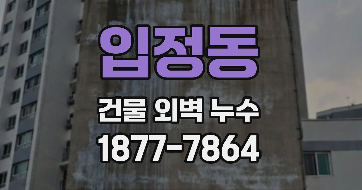 입정동 건물 외벽 누수