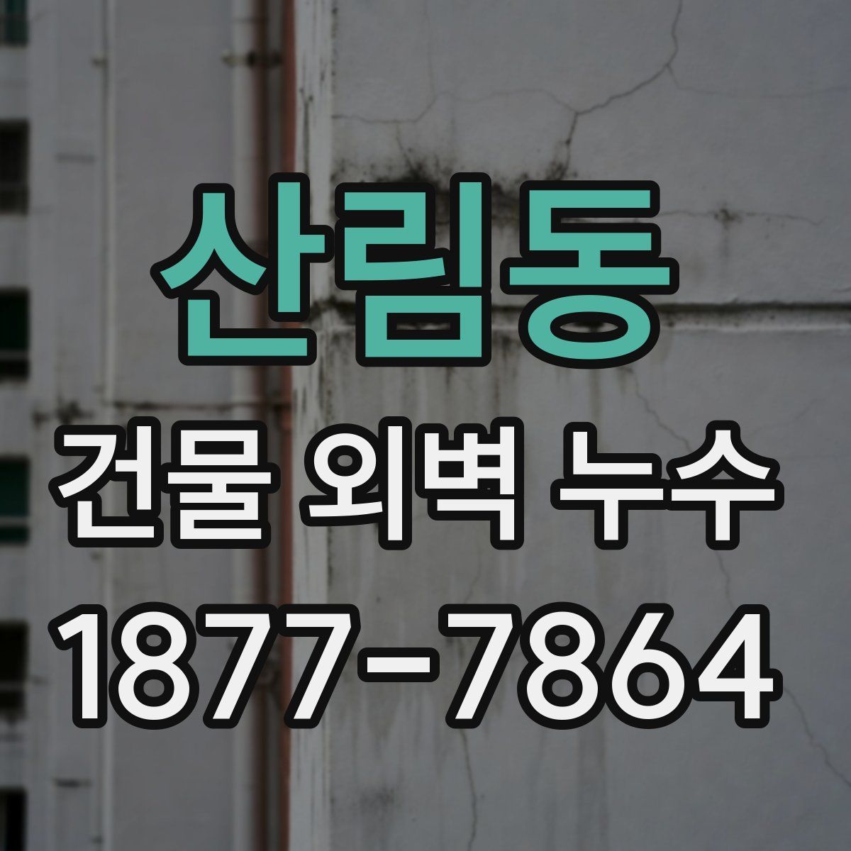 산림동 건물 외벽 누수