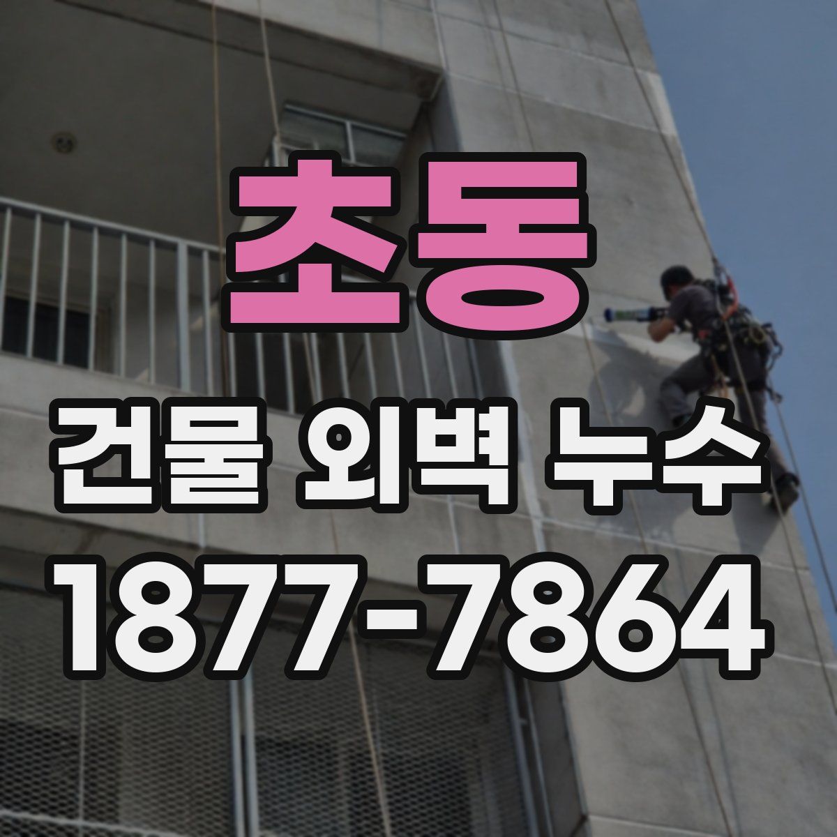 초동 건물 외벽 누수
