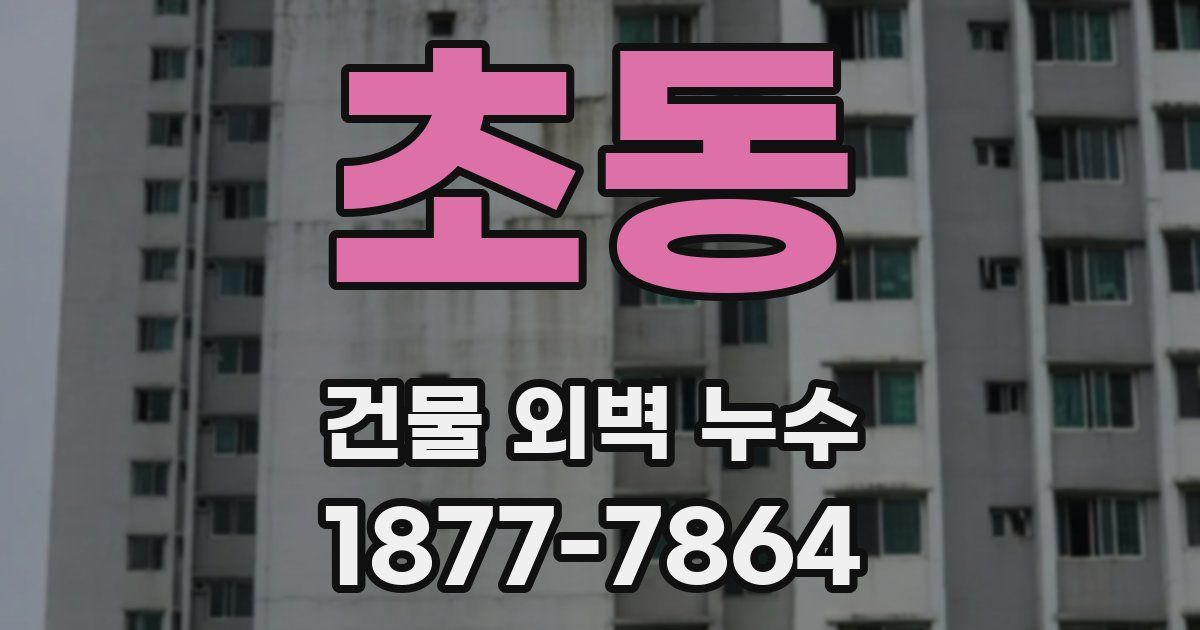 초동 건물 외벽 누수