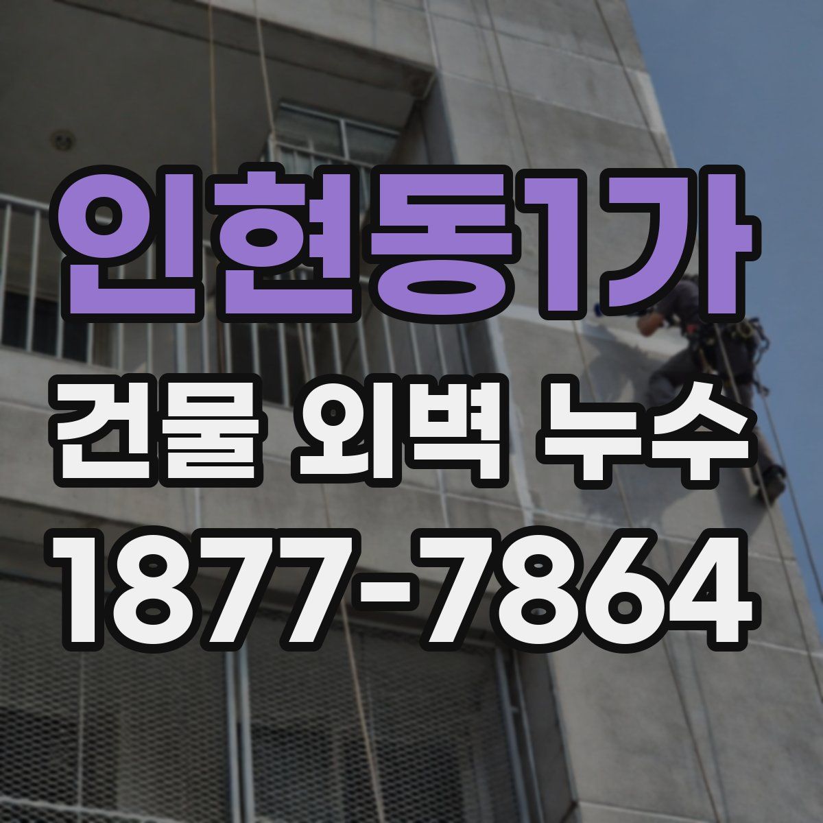 인현동1가 건물 외벽 누수