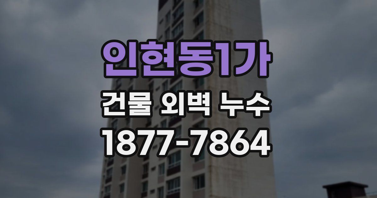 인현동1가 건물 외벽 누수