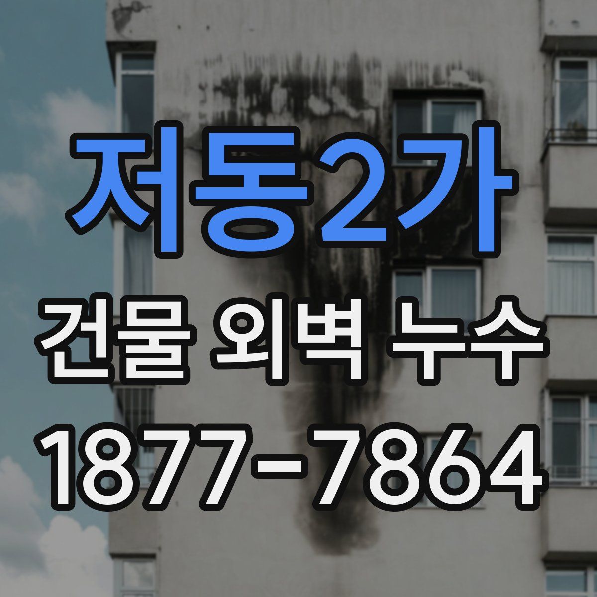 저동2가 건물 외벽 누수