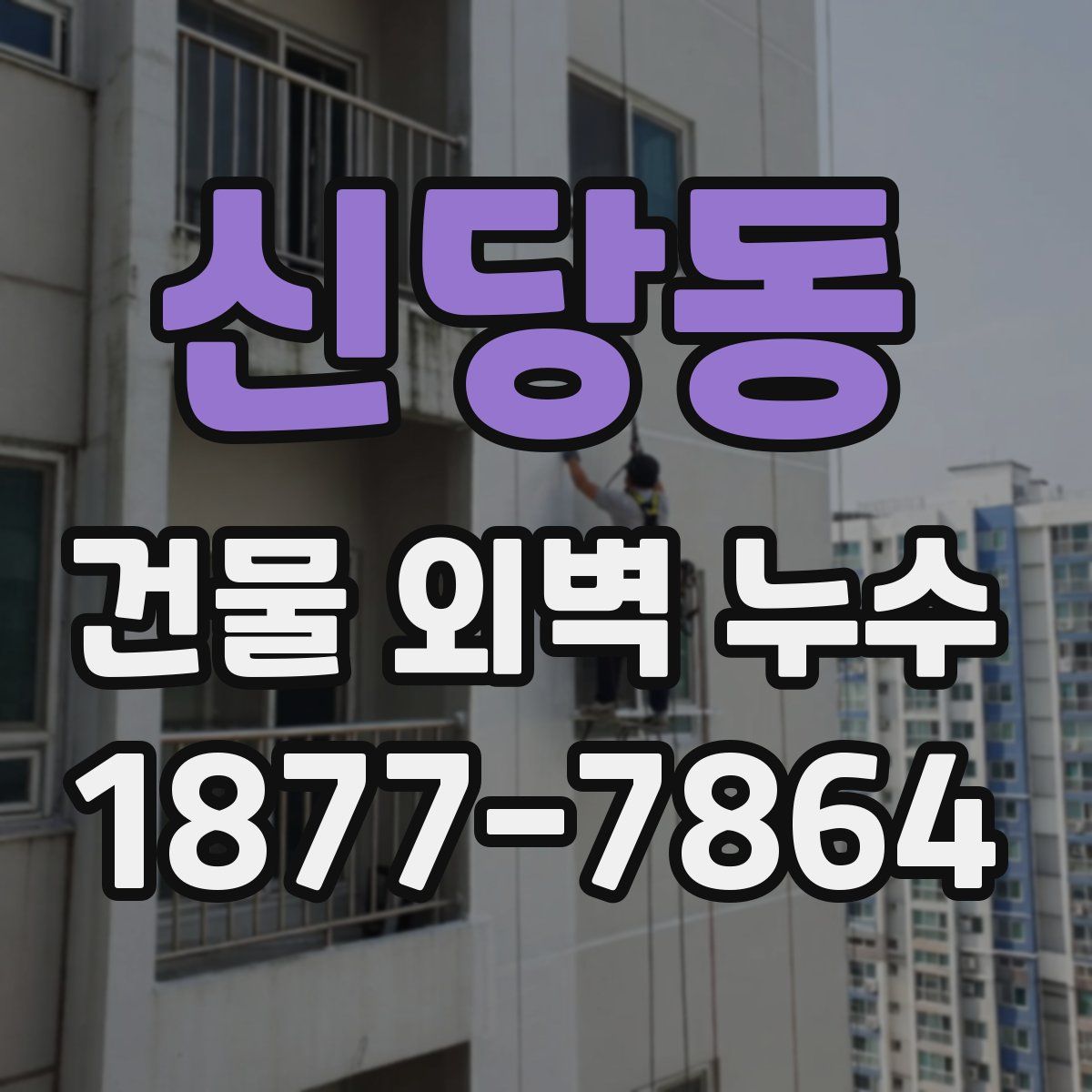 신당동 건물 외벽 누수