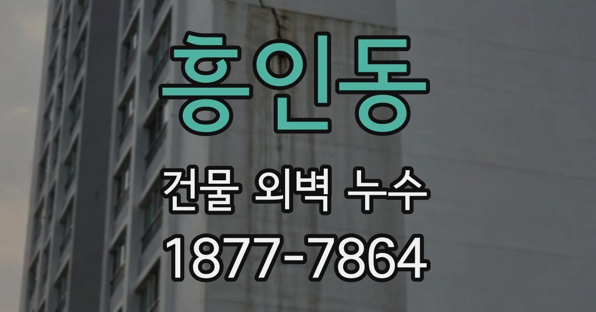 흥인동 건물 외벽 누수