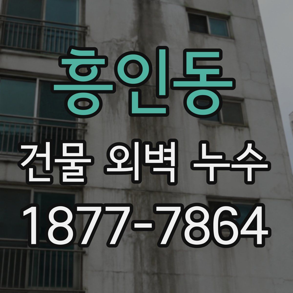 흥인동 건물 외벽 누수