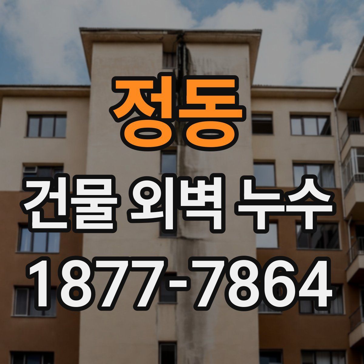 정동 건물 외벽 누수
