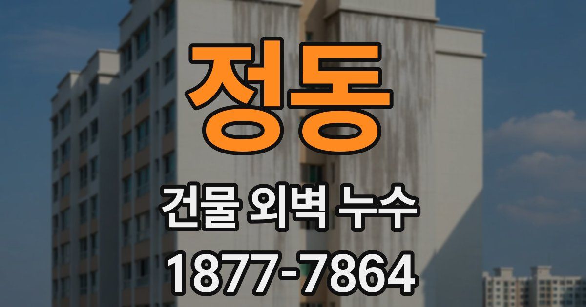 정동 건물 외벽 누수
