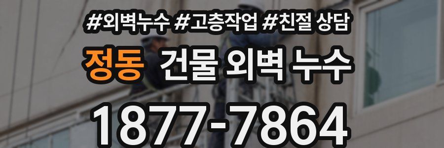정동 건물 외벽 누수