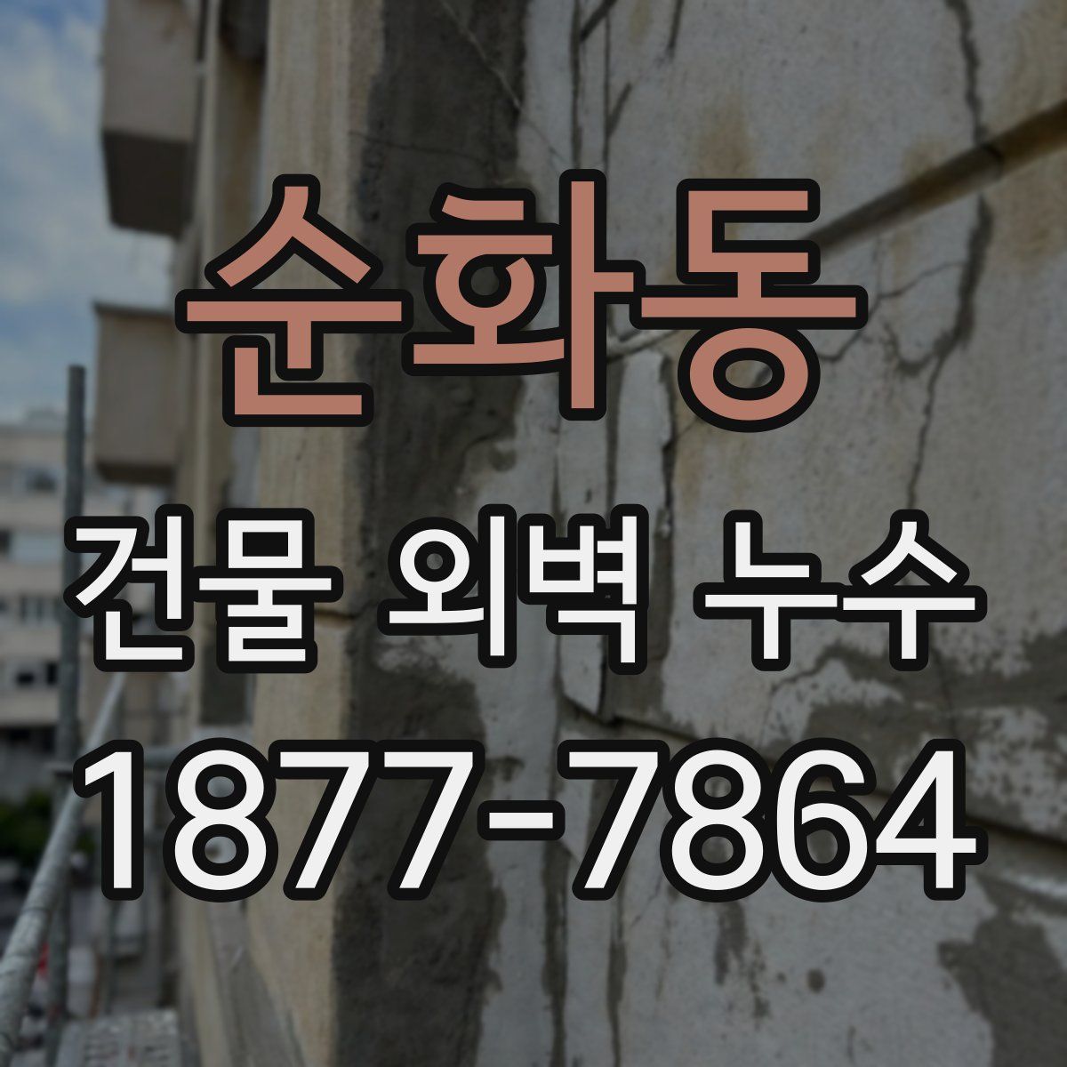 순화동 건물 외벽 누수