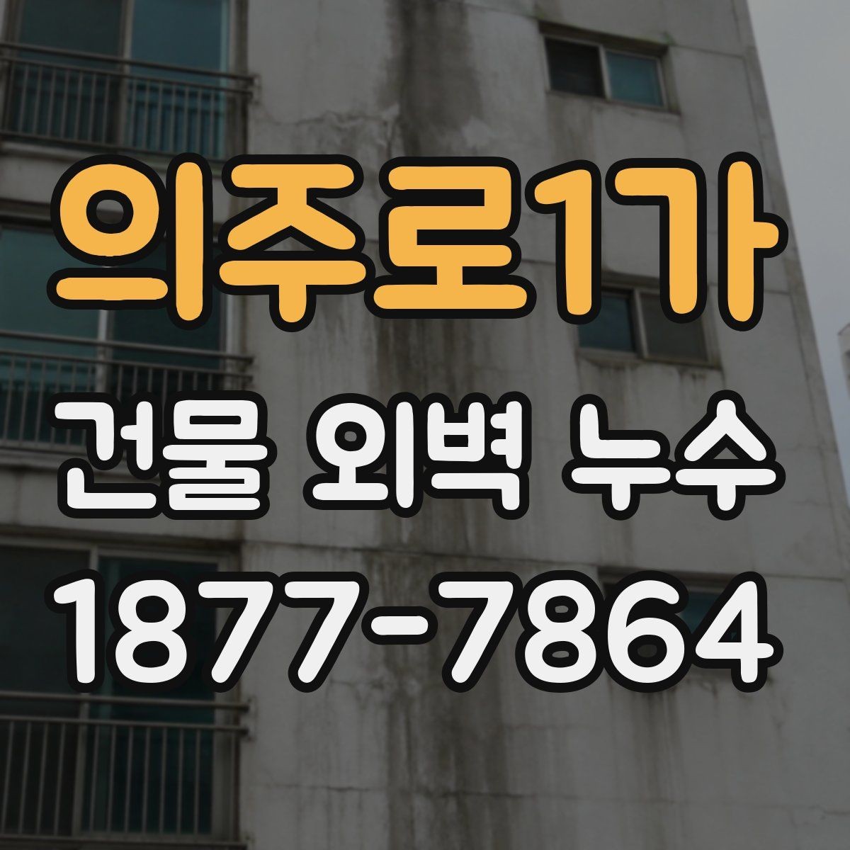 의주로1가 건물 외벽 누수 재발을 줄이는 관리법