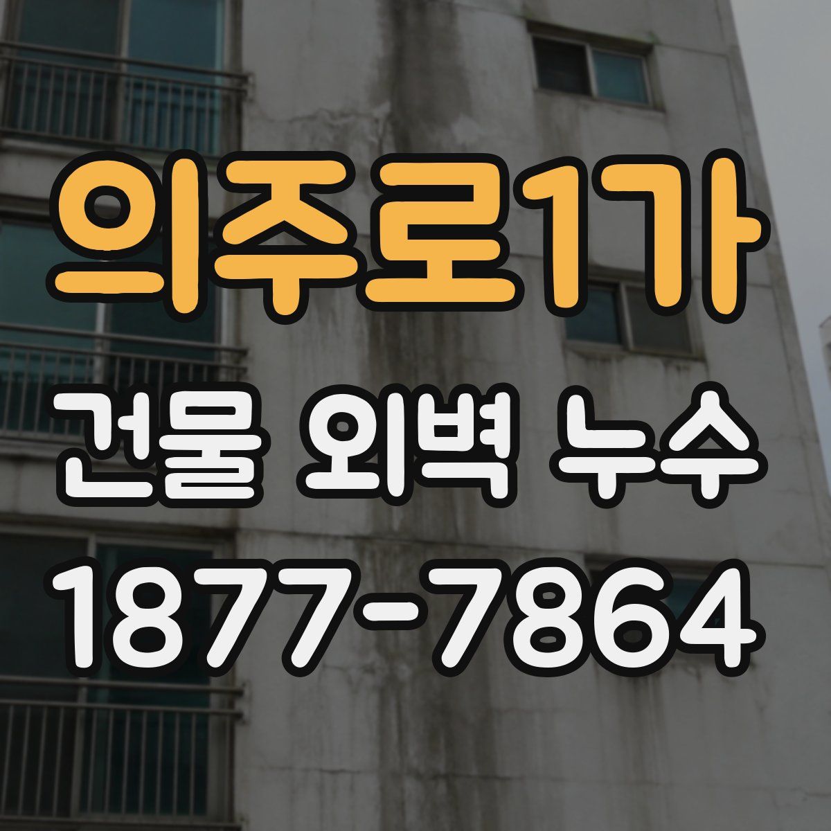 의주로1가 건물 외벽 누수