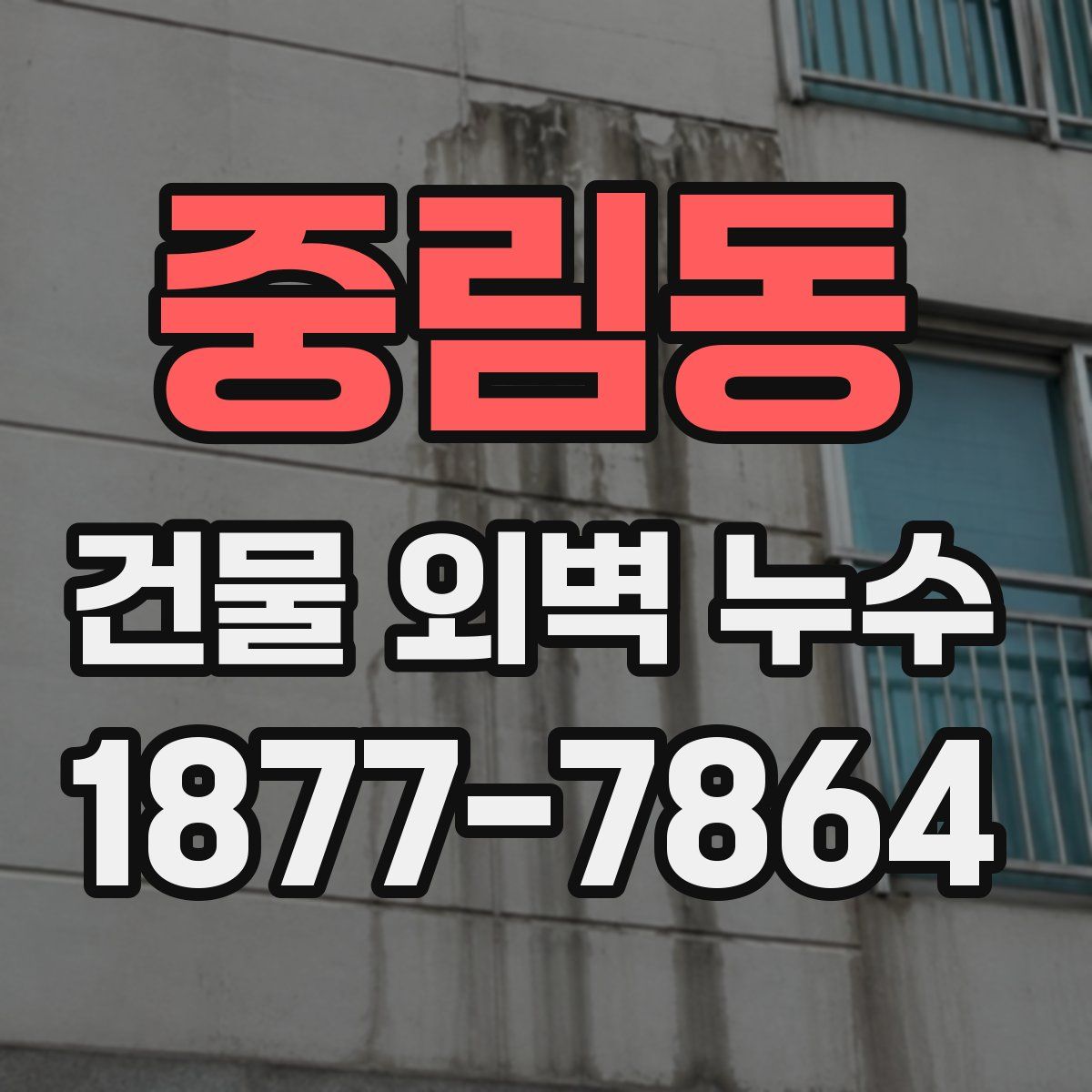 중림동 건물 외벽 누수